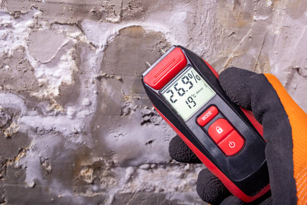 Certified Mold Removal in Saddle Rock, NY