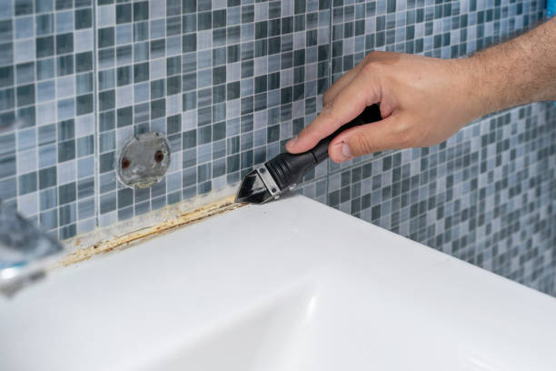 Best Certified Mold Removal  in Saddle Rock, NY