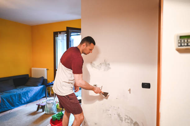 Best Best Mold Removal Companies  in Saddle Rock, NY