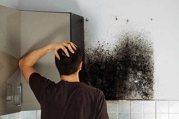 Crawl Space Mold Removal in Saddle Rock, NY